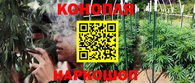 прущие грибы Усть-Илимск