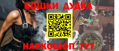 прущие грибы Усть-Илимск