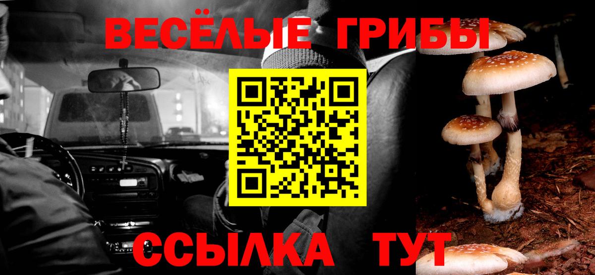 Галлюциногенные грибы мухоморы Мурманск